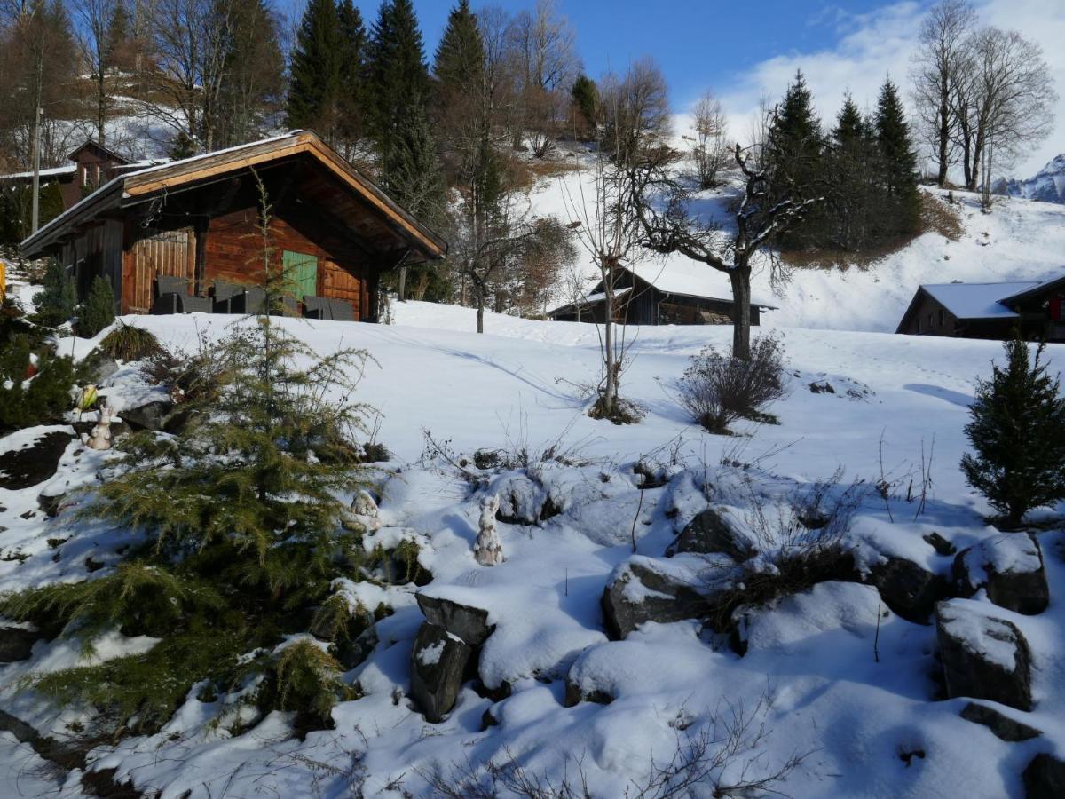 Apartment Chalet Schwendihus-6 By Interhome Grindelwald Esterno foto