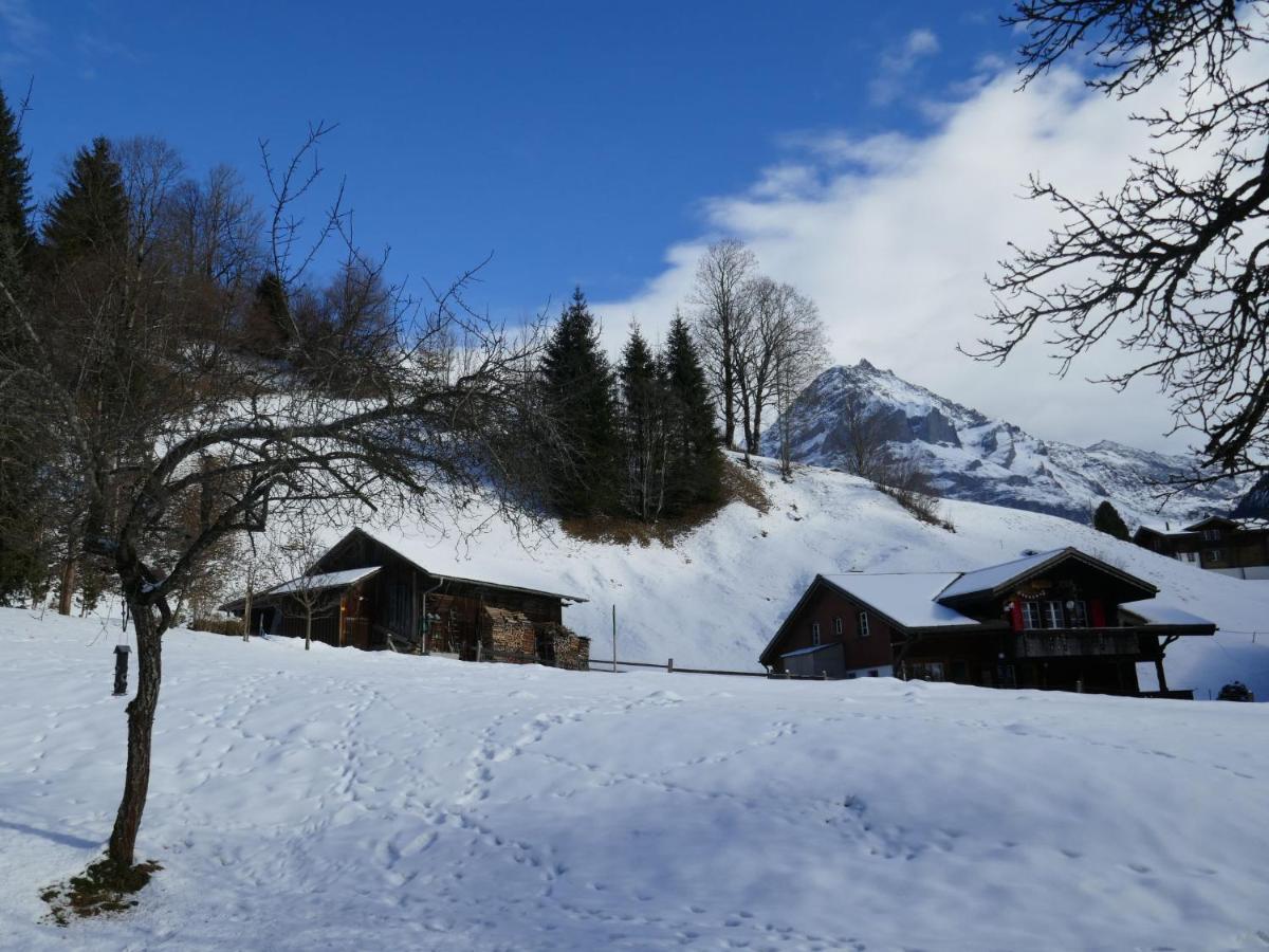 Apartment Chalet Schwendihus-6 By Interhome Grindelwald Esterno foto