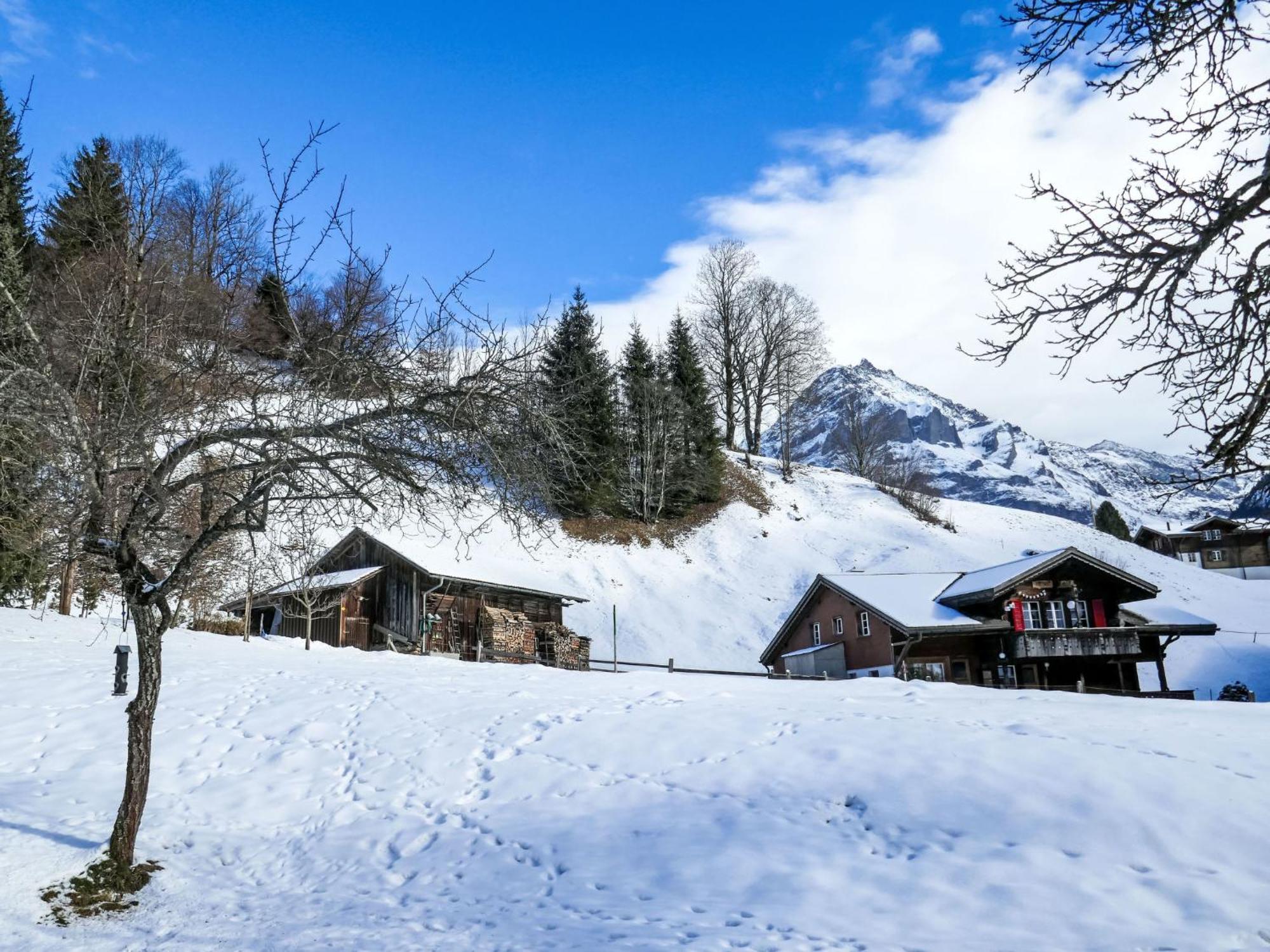 Apartment Chalet Schwendihus-6 By Interhome Grindelwald Esterno foto